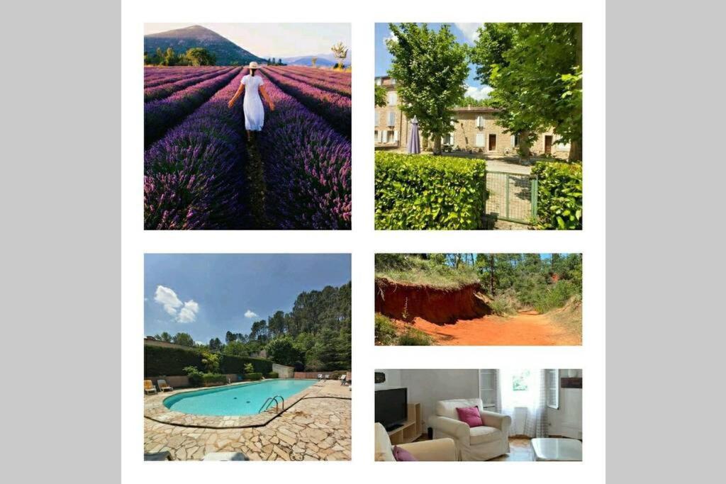 Eblouissant Appartement Au Calme D'Une Residence Avec Piscine Idealement Situe Au Pied Du Colorado Provencal Dans Le Prestigieux Luberon Rustrel Exteriér fotografie